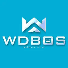 WDBOS - Game Sepak Bola Terbaik untuk Pecinta Olahraga